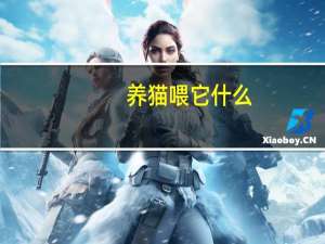 养猫喂它什么