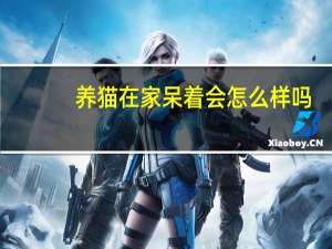 养猫在家呆着会怎么样吗