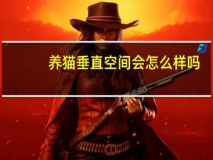 养猫垂直空间会怎么样吗