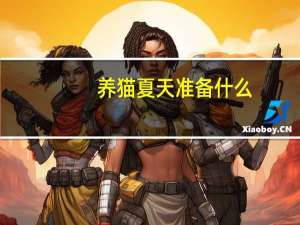 养猫夏天准备什么