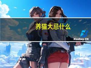 养猫大忌什么