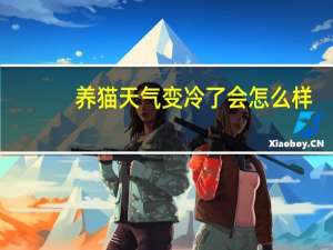 养猫天气变冷了会怎么样