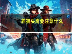 养猫头鹰要注意什么