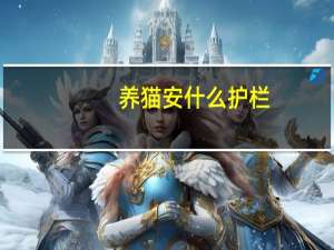 养猫安什么护栏
