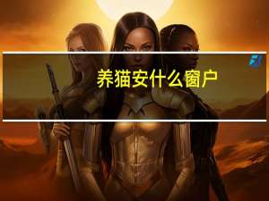 养猫安什么窗户