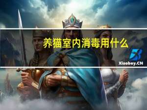 养猫室内消毒用什么
