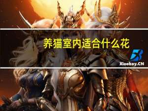 养猫室内适合什么花