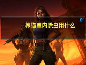 养猫室内除虫用什么