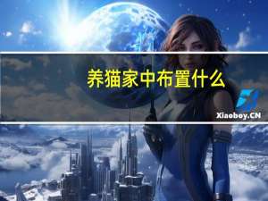 养猫家中布置什么