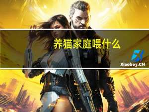 养猫家庭喂什么