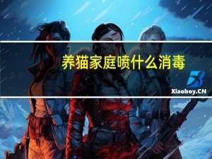 养猫家庭喷什么消毒