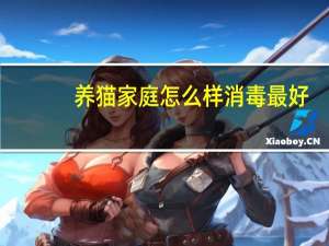 养猫家庭怎么样消毒最好