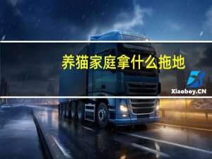 养猫家庭拿什么拖地