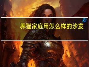 养猫家庭用怎么样的沙发