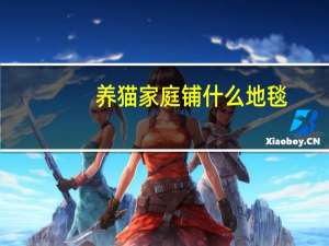 养猫家庭铺什么地毯