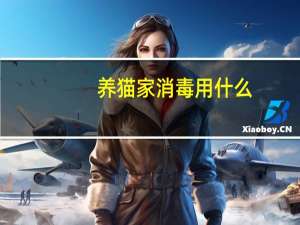 养猫家消毒用什么