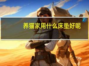 养猫家用什么床垫好呢