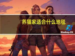 养猫家适合什么地毯