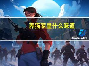 养猫家里什么味道