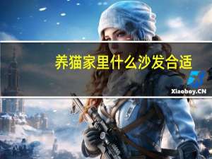 养猫家里什么沙发合适