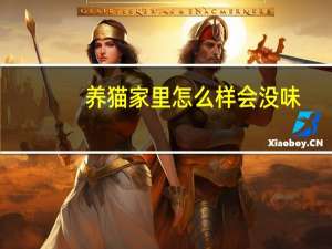 养猫家里怎么样会没味