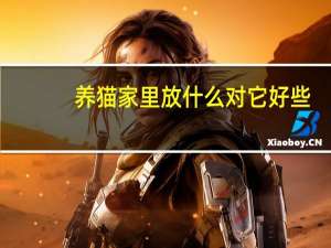 养猫家里放什么对它好些