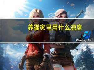养猫家里用什么凉席