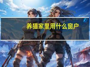 养猫家里用什么窗户