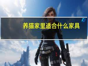 养猫家里适合什么家具