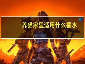 养猫家里适用什么香水