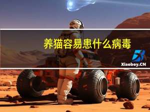 养猫容易患什么病毒