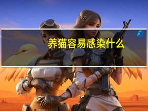 养猫容易感染什么