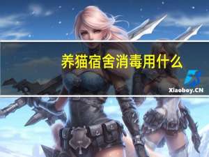 养猫宿舍消毒用什么