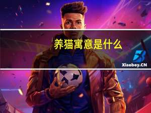 养猫寓意是什么