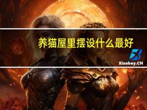 养猫屋里摆设什么最好