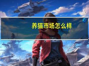 养猫市场怎么样