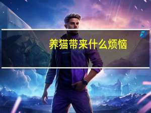 养猫带来什么烦恼