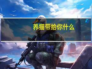 养猫带给你什么