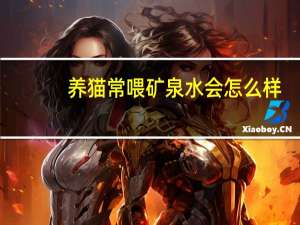 养猫常喂矿泉水会怎么样