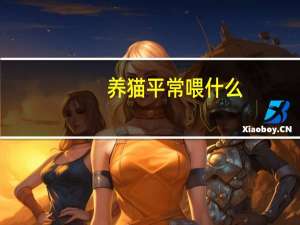 养猫平常喂什么