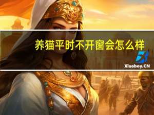 养猫平时不开窗会怎么样