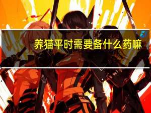 养猫平时需要备什么药嘛