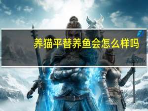 养猫平替养鱼会怎么样吗