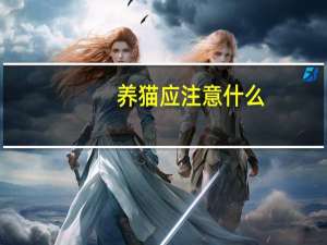 养猫应注意什么