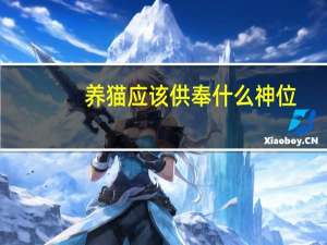养猫应该供奉什么神位