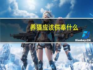 养猫应该供奉什么