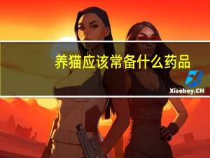 养猫应该常备什么药品