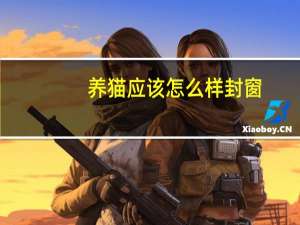 养猫应该怎么样封窗