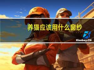 养猫应该用什么窗纱