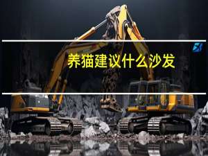 养猫建议什么沙发